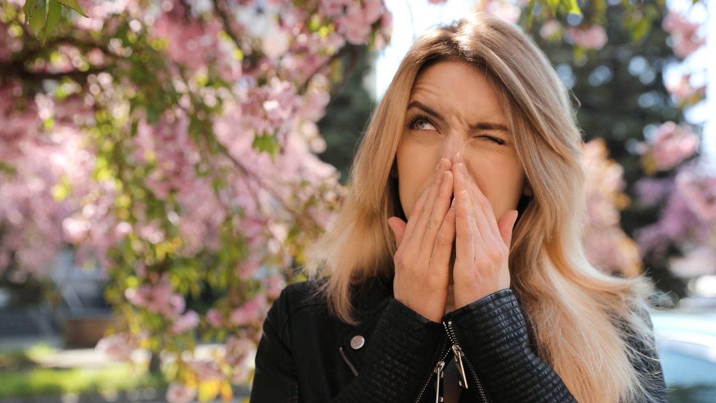 Frau hält sich wegen einer Pollenallergie und Heuschnupfen die Nase zu und schaut die Blüte der Bäume an