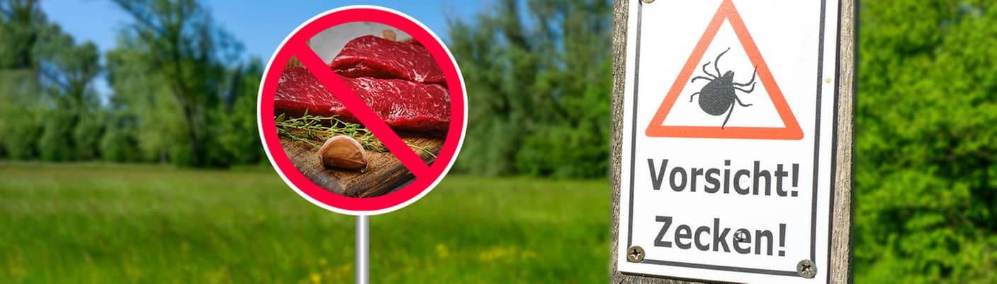 Immer mehr Menschen in den USA entwickeln eine Allergie gegen rotes Fleisch – ausgelöst durch einen Zeckenbiss. 