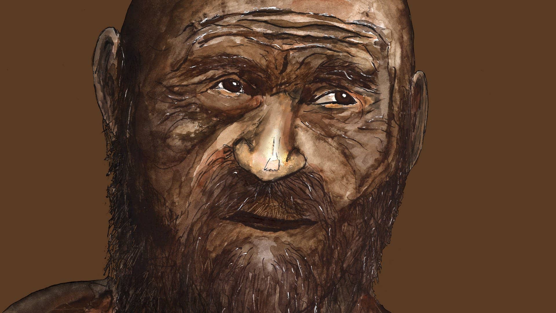 Eine Zeichnung von Ötzi, die das Portrait eines dunkelhäutigen bärtigen Mannes mit Glatze zeigt