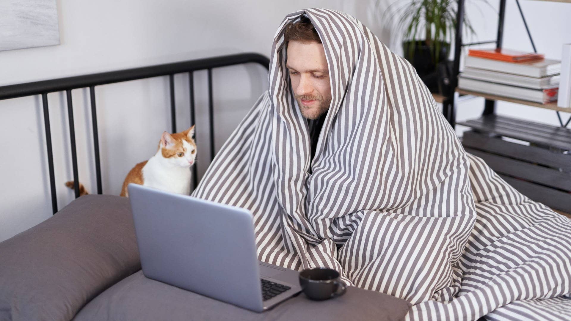 Junger Mann sieht krank aus, vielleicht hat er Corona. Er hat eine Decke über den Kopf gezogen und sitzt zu Hause auf dem Bett. Er scheient trotz Krankheit zu arbeiten, hat ein Laptop vor sich. Neben ihm sitzt eine Katze.