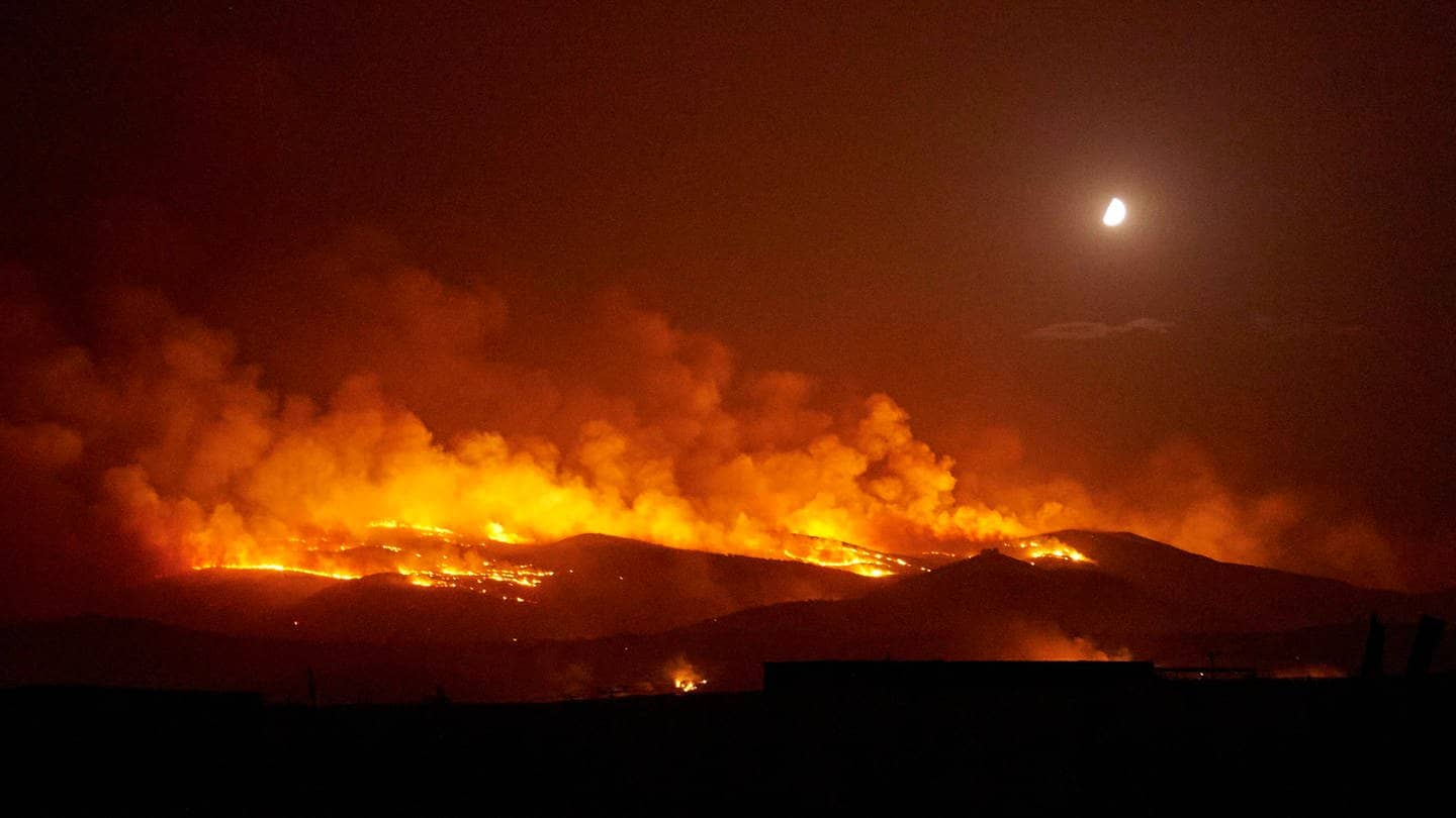 In der Region Velestino um die Stadt Volos in Magnesia brennen Wälder. (Foto: dpa Bildfunk, picture alliance/dpa/ZUMA Press Wire | Nikolas Georgiou)