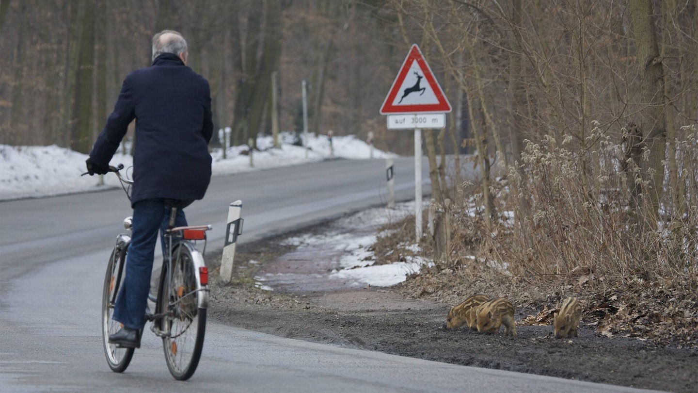 Foto: imago images / Nature Picture Library Fahrradfahrer im Herbst (Foto: imago images / Nature Picture Library)
