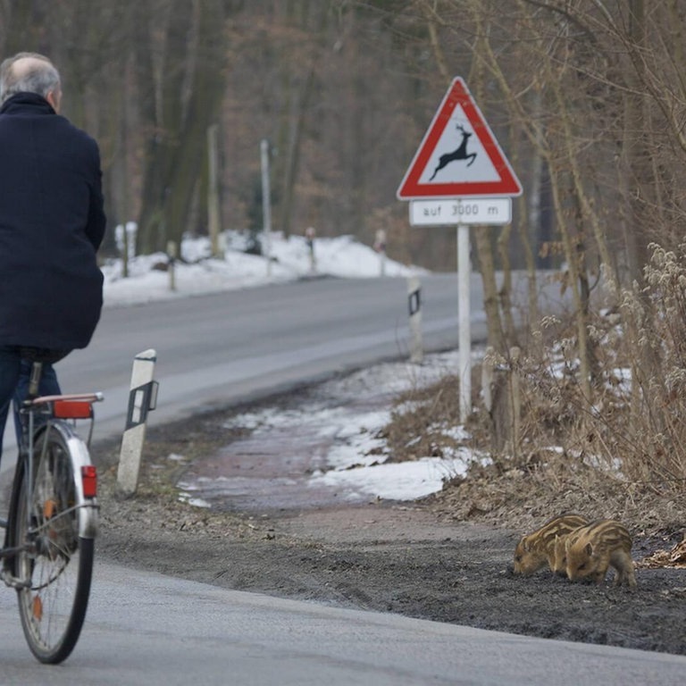 Fahrradfahrer im Herbst (Foto: imago images / Nature Picture Library)