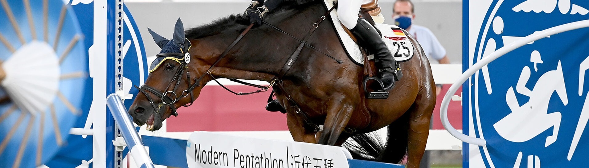 Fünfkampf-Pferd Saint Boy beim Ritt Olympia 2021 mit Annika Schleu (Foto: picture-alliance / Reportdienste, picture alliance/dpa | Marijan Murat)
