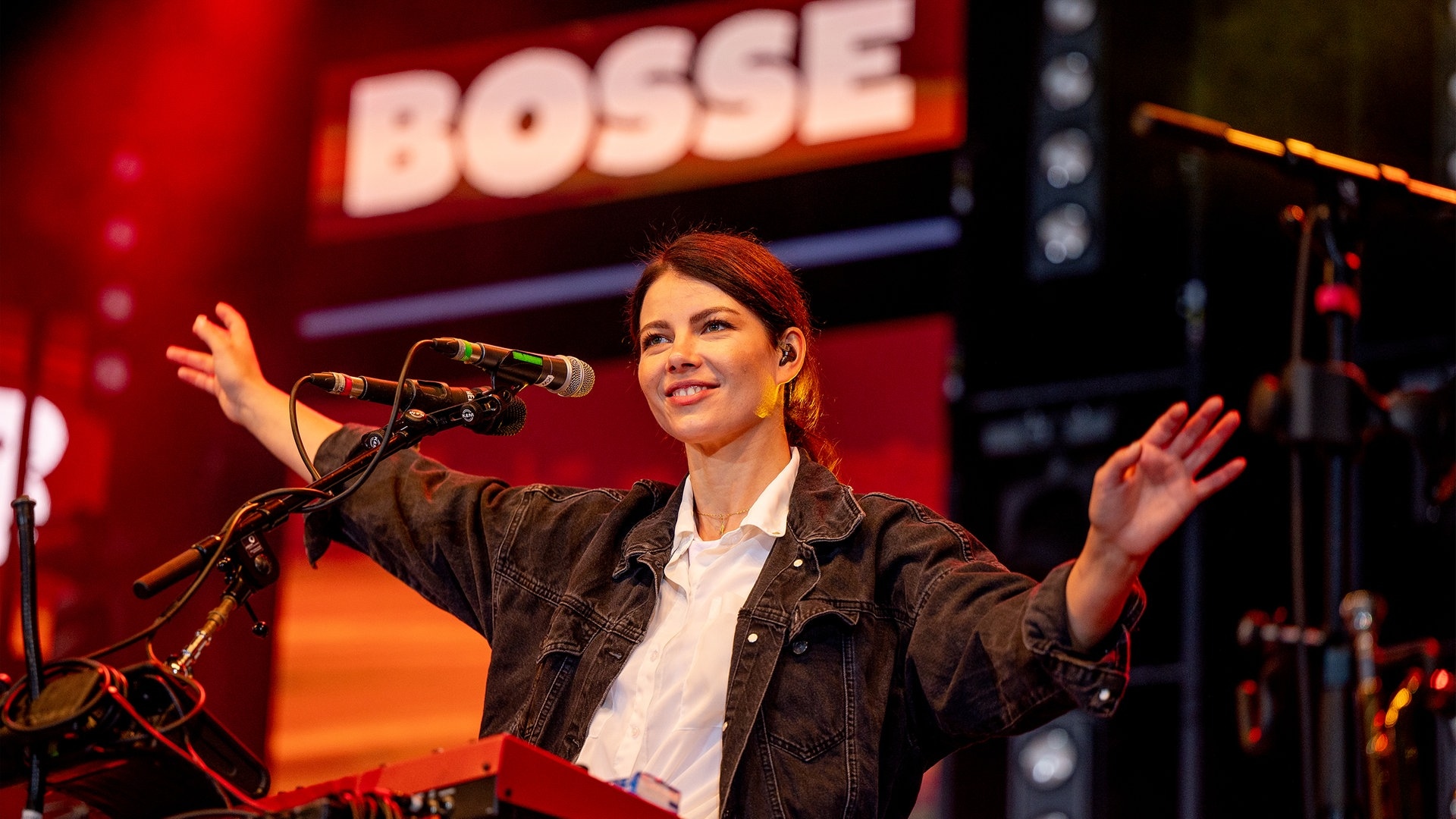 Foto: Torsten Silz Bosse beim SWR Sommerfestival in Zweibrücken (Foto: Torsten Silz)