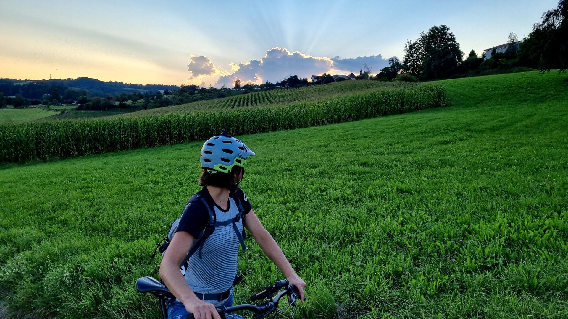 Foto: SWR3, Stefan Scheurer Fahrradfahrer in der Sonne (Foto: SWR3, Stefan Scheurer)