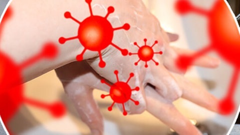 Alle Infos zum Coronavirus (Foto: Colourbox)