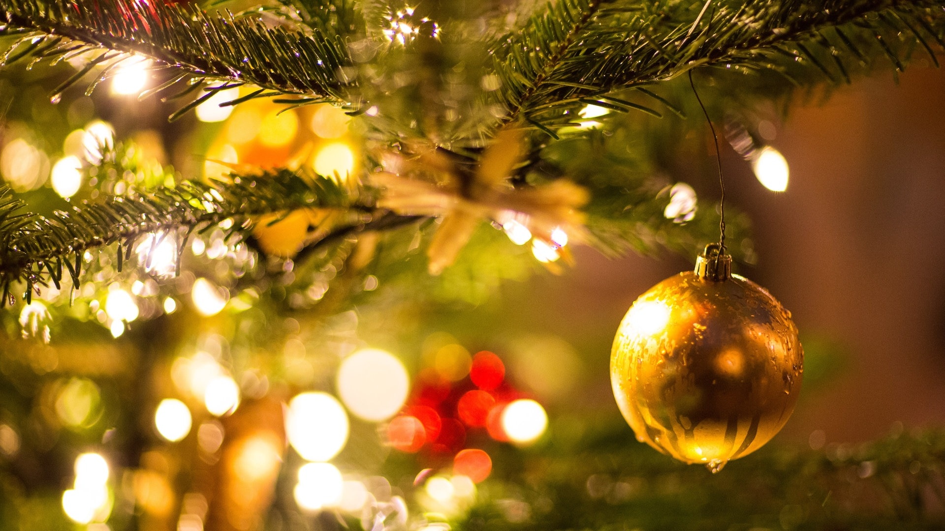  Eine goldene Kugel hängt an einem Weihnachtsbaum (Foto: dpa Bildfunk, picture alliance/dpa | Friso Gentsch)