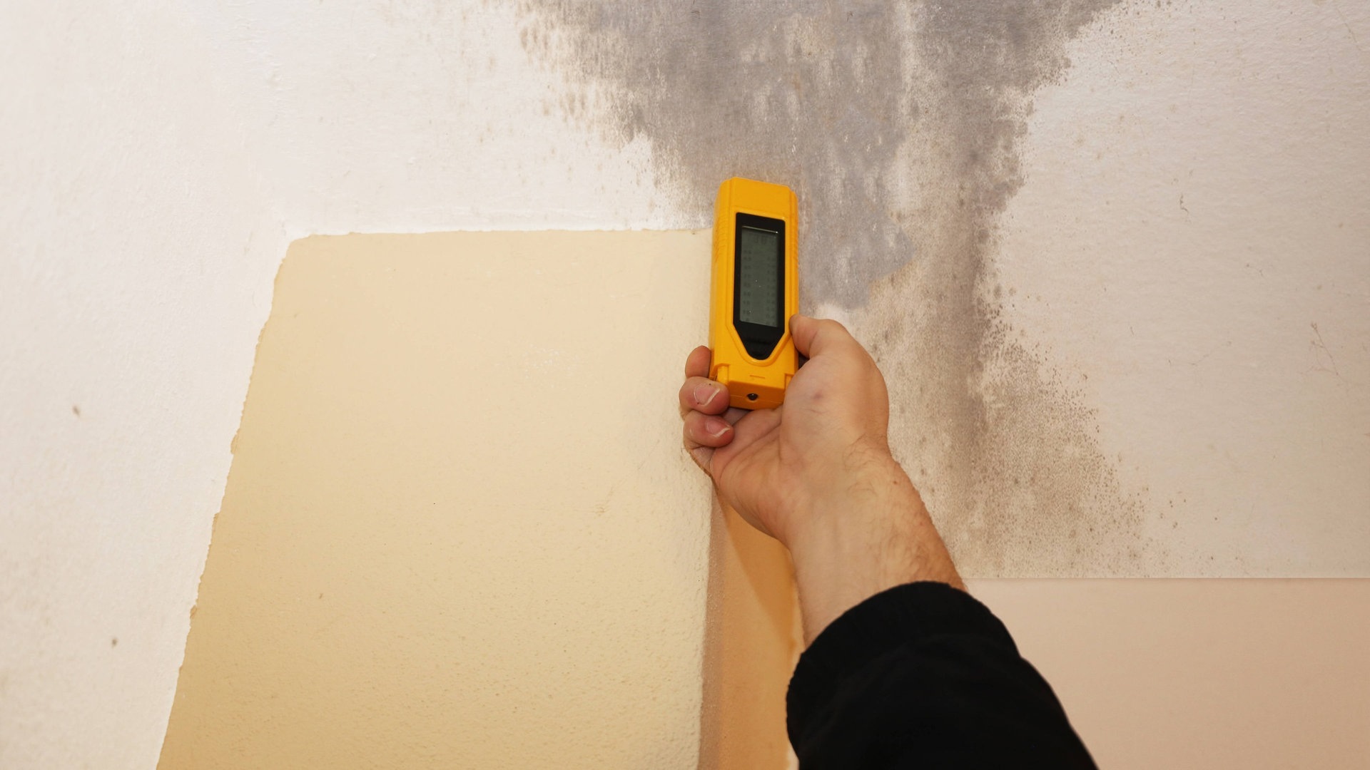 Foto: IMAGO, IMAGO / Panthermedia Feuchtemessung mit Messgerät an der Wand, die Wand wird auf Feuchtigkeit und Schimmel überprüft (Foto: IMAGO, IMAGO / Panthermedia)