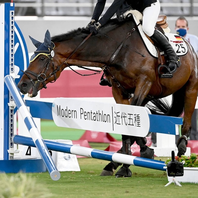 Fünfkampf-Pferd Saint Boy beim Ritt Olympia 2021 mit Annika Schleu (Foto: picture-alliance / Reportdienste, picture alliance/dpa | Marijan Murat)