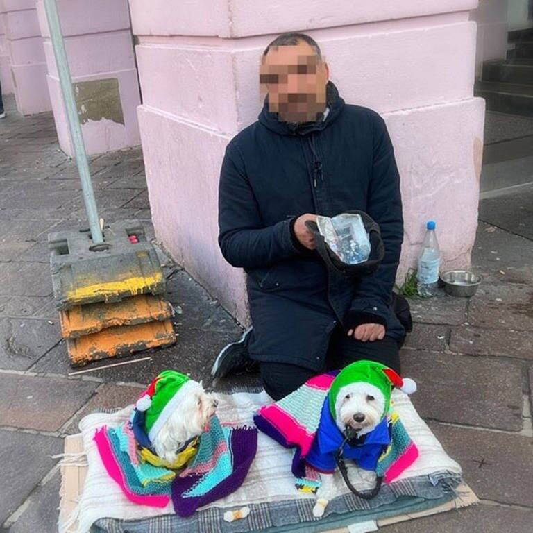 Ein Mann sitzt vor einem Haus und bettelt, vor ihm liegen zwei Hunde mit grüner Weihnachtsmütze auf einer Decke - die Bettlerhunde müssen für organisierten Betrug herhalten