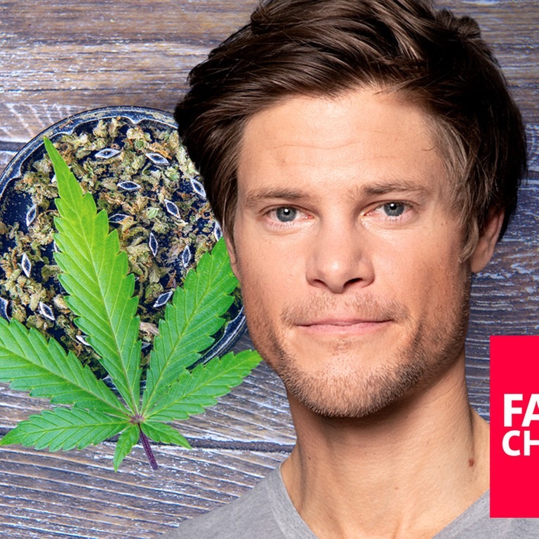 Faktencheck: Cannabis oder Alkohol – was ist gefährlicher? (Foto: SWR3, Shutterstock)