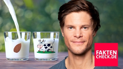 Ist pflanzliche Milch besser als Kuhmilch? (Foto: SWR)