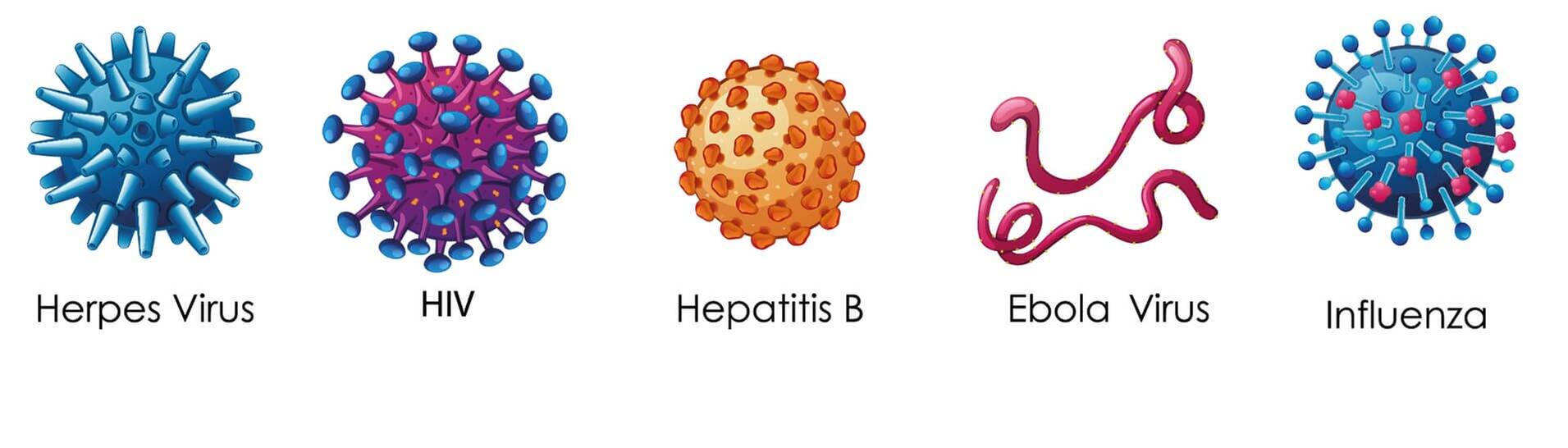 Formen verschiedener Virus-Arten: HIV, Ebola, Influenza, Herpes (Foto: Adobe Stock / GraphicsRF)