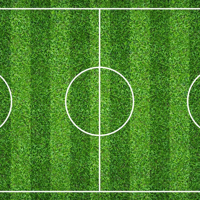 Fußballfeld mit Markierungen (Foto: Adobe Stock / praewpailin)