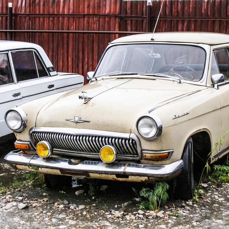 Altes Auto parkt und Pflanzen wachsen schon darunter (Foto: Adobe Stock / art_zzz)