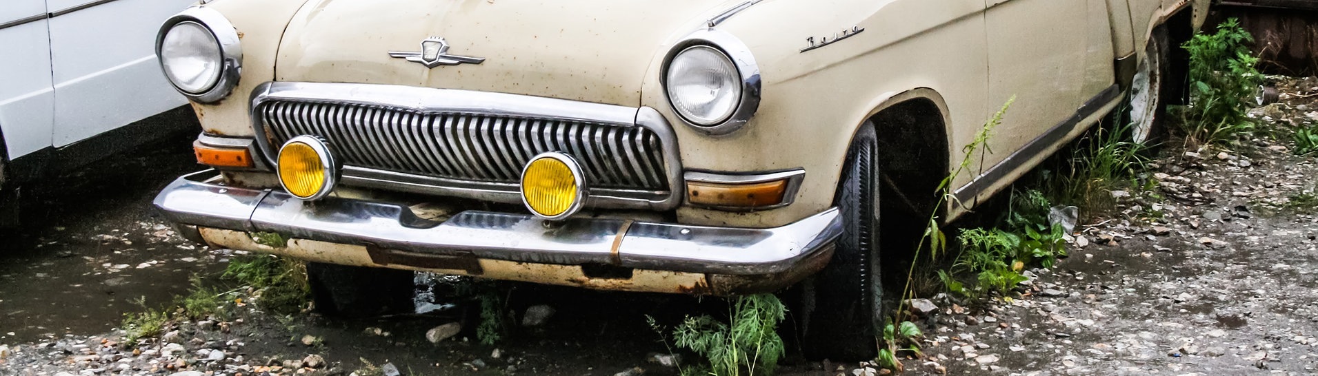 Altes Auto parkt und Pflanzen wachsen schon darunter (Foto: Adobe Stock / art_zzz)