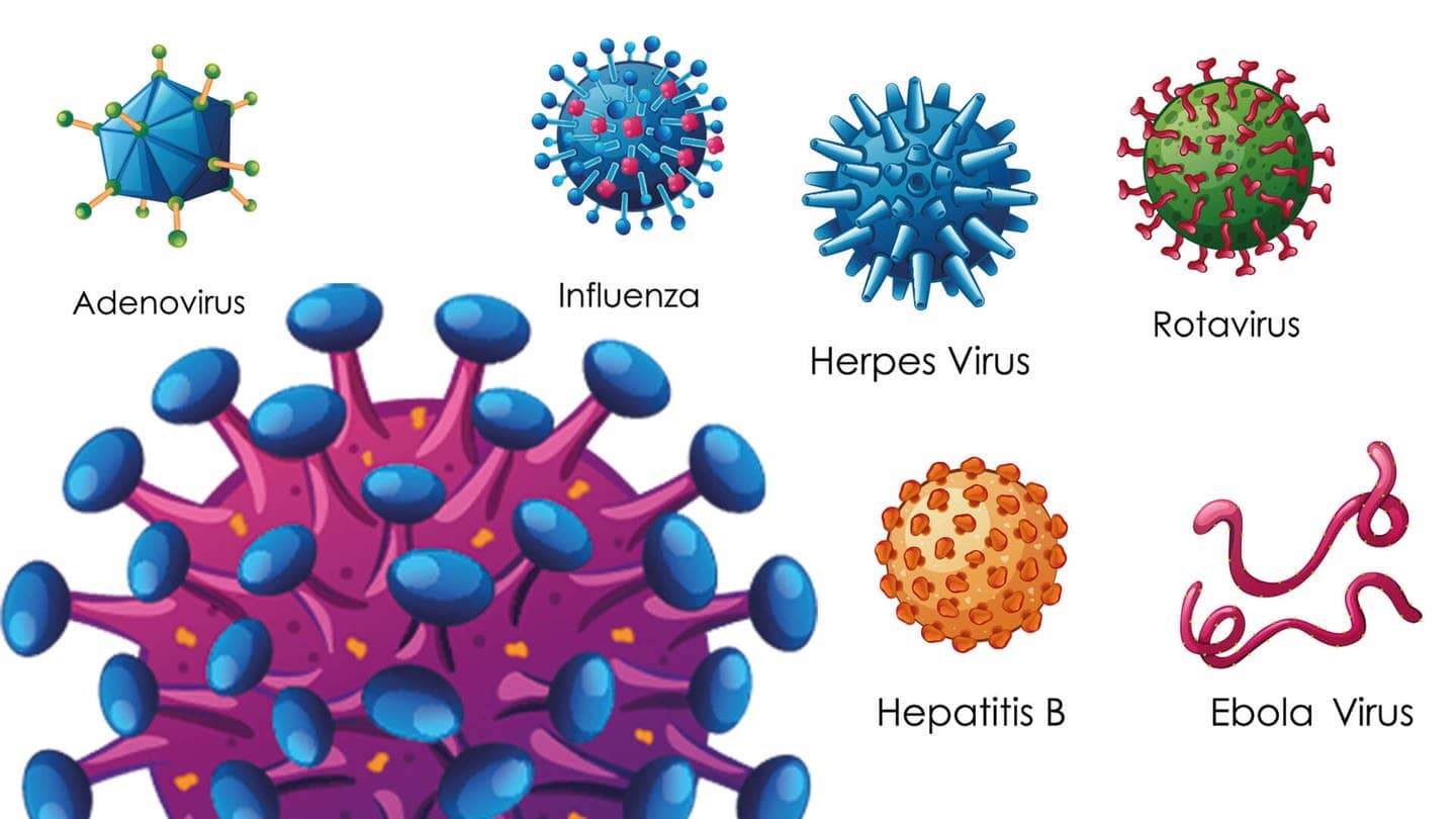Formen verschiedener Virus-Arten: HIV, Ebola, Influenza, Herpes (Foto: Adobe Stock / GraphicsRF)