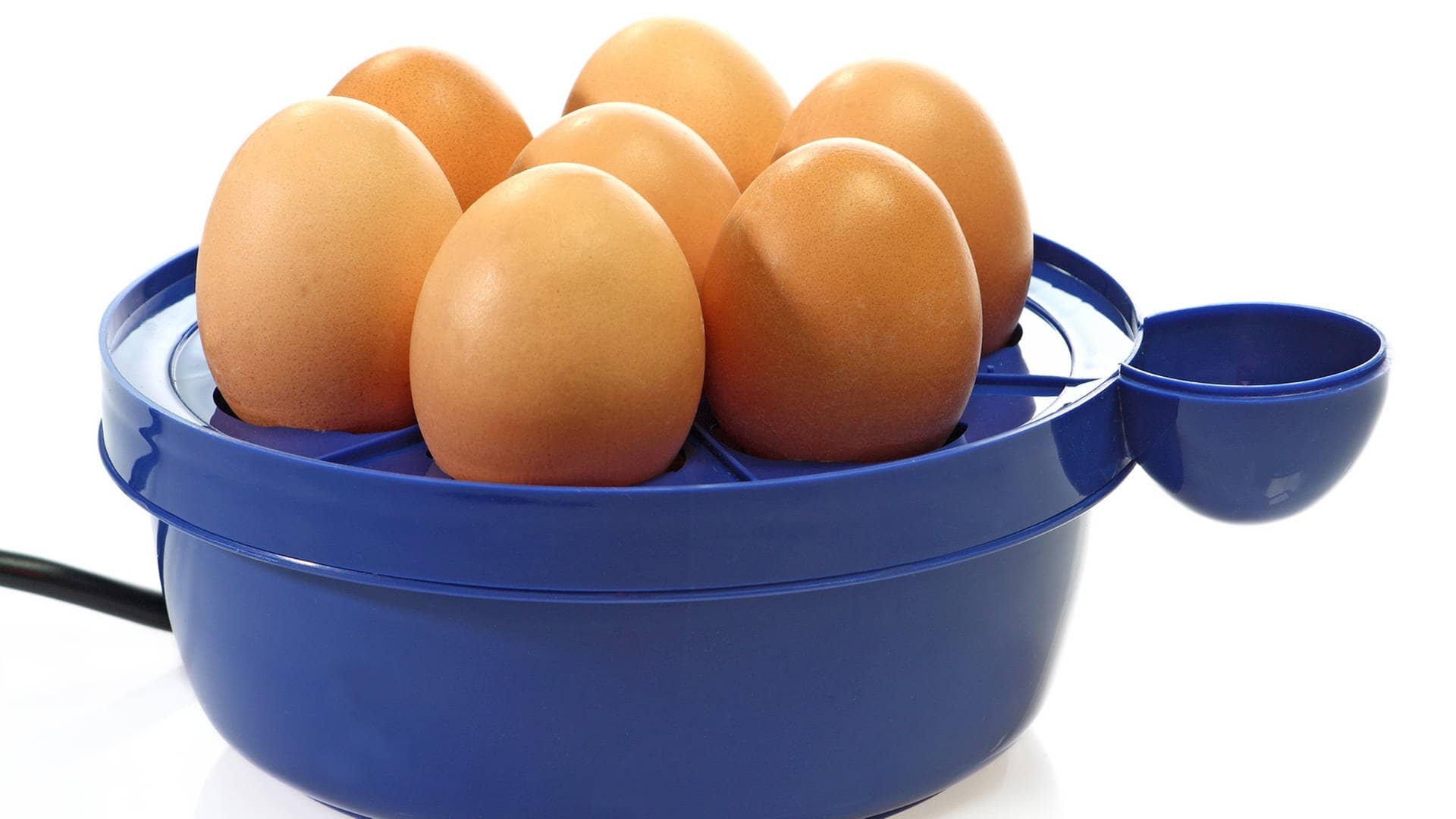Blauer Eierkocher mit 7 Eiern  (Foto: Adobe Stock / Birgit Reitz-Hofmann)