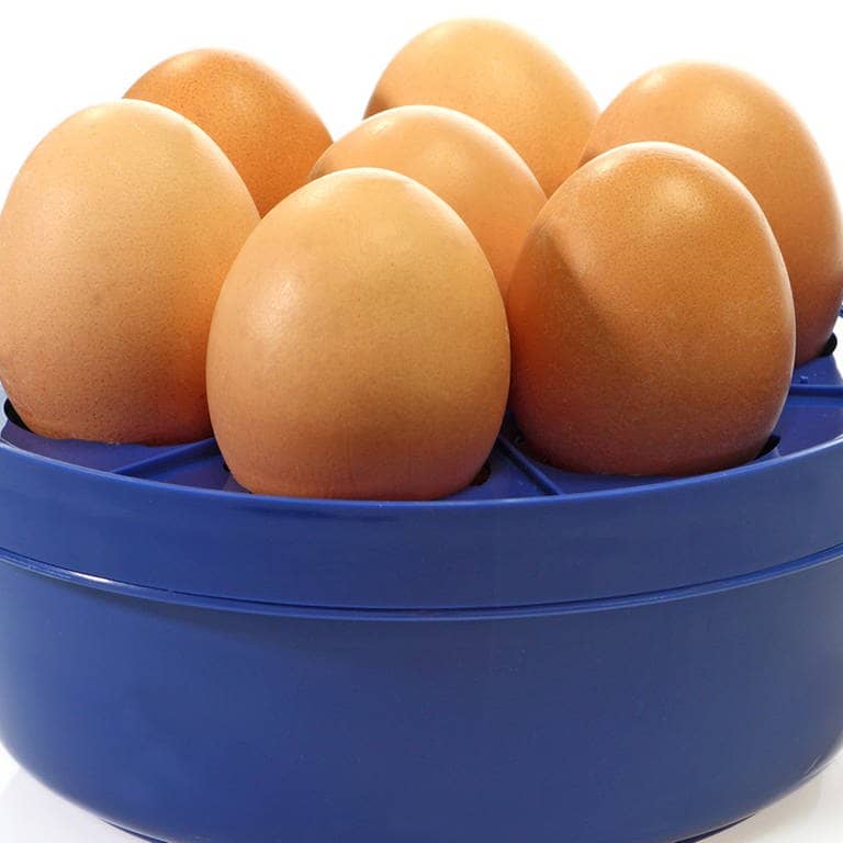 Blauer Eierkocher mit 7 Eiern  (Foto: Adobe Stock / Birgit Reitz-Hofmann)