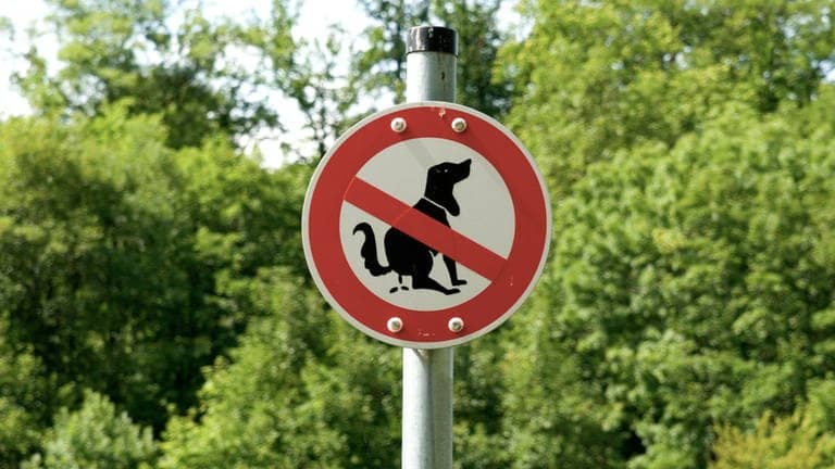 Hundekot verboten (Foto: Adobe Stock/VRD)