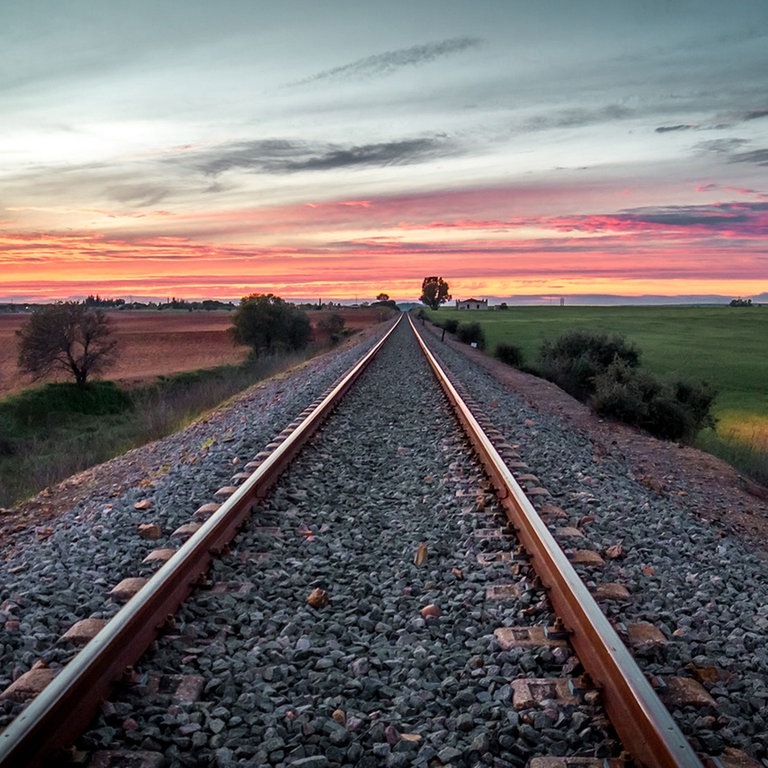 Zuggleis auf dem Land  (Foto: AdobeStock / dunedem )