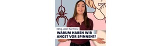 Eklig, aber harmlos: Warum haben wir Angst vor Spinnen?
