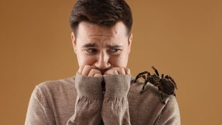 Eine Spinne sitzt auf der Schulter eines Mannes. Er fürchtet sich. Warum haben wir Angst vor Spinnen?