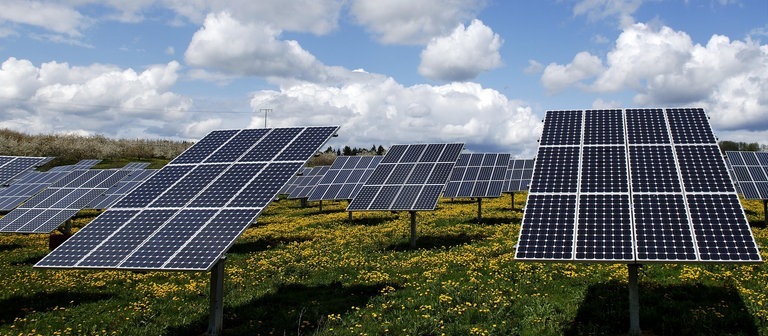 Eine größere Photovoltaikanlage auf einer blühenden Wiese (Foto: SWR)