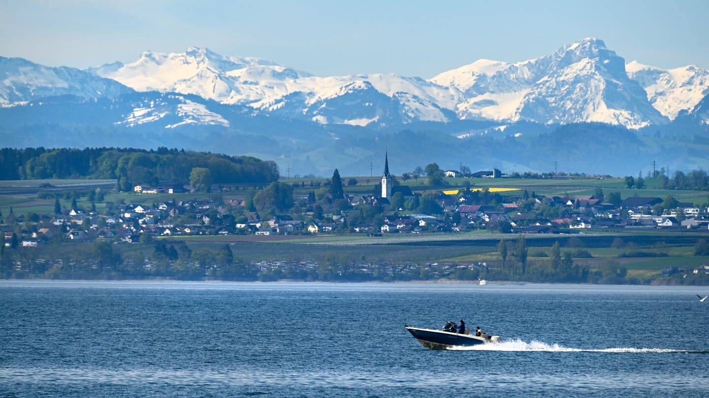 Ein Motorboot fährt über den Bodensee, während im Hintergrund die Alpen in der Schweiz zu sehen sind.  (Foto: dpa Bildfunk, picture alliance/dpa | Felix Kästle)