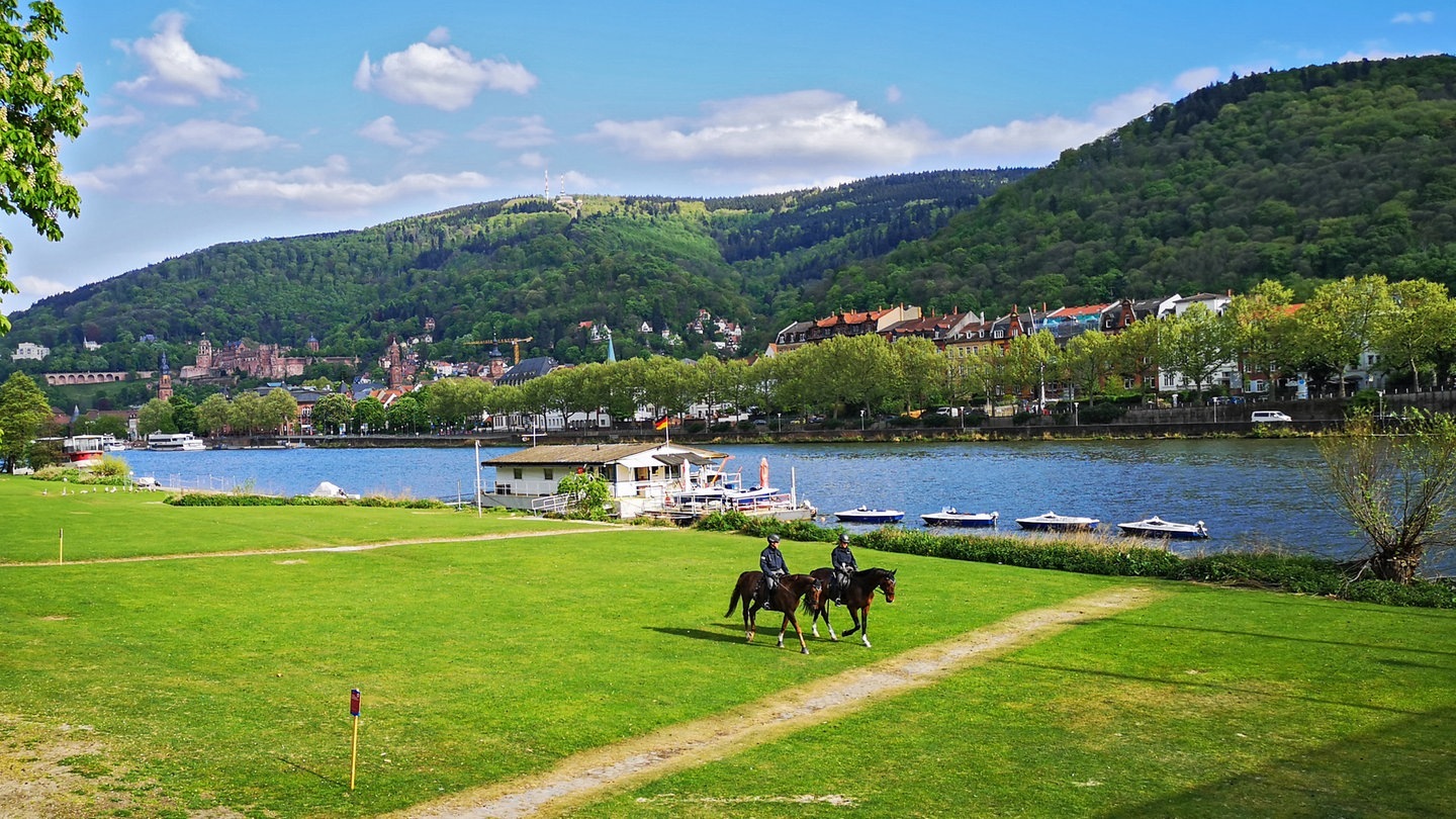Die Neckarwiese in Heidelberg. (Foto: picture-alliance / Reportdienste, picture alliance / Martin Grimm | Martin Grimm)