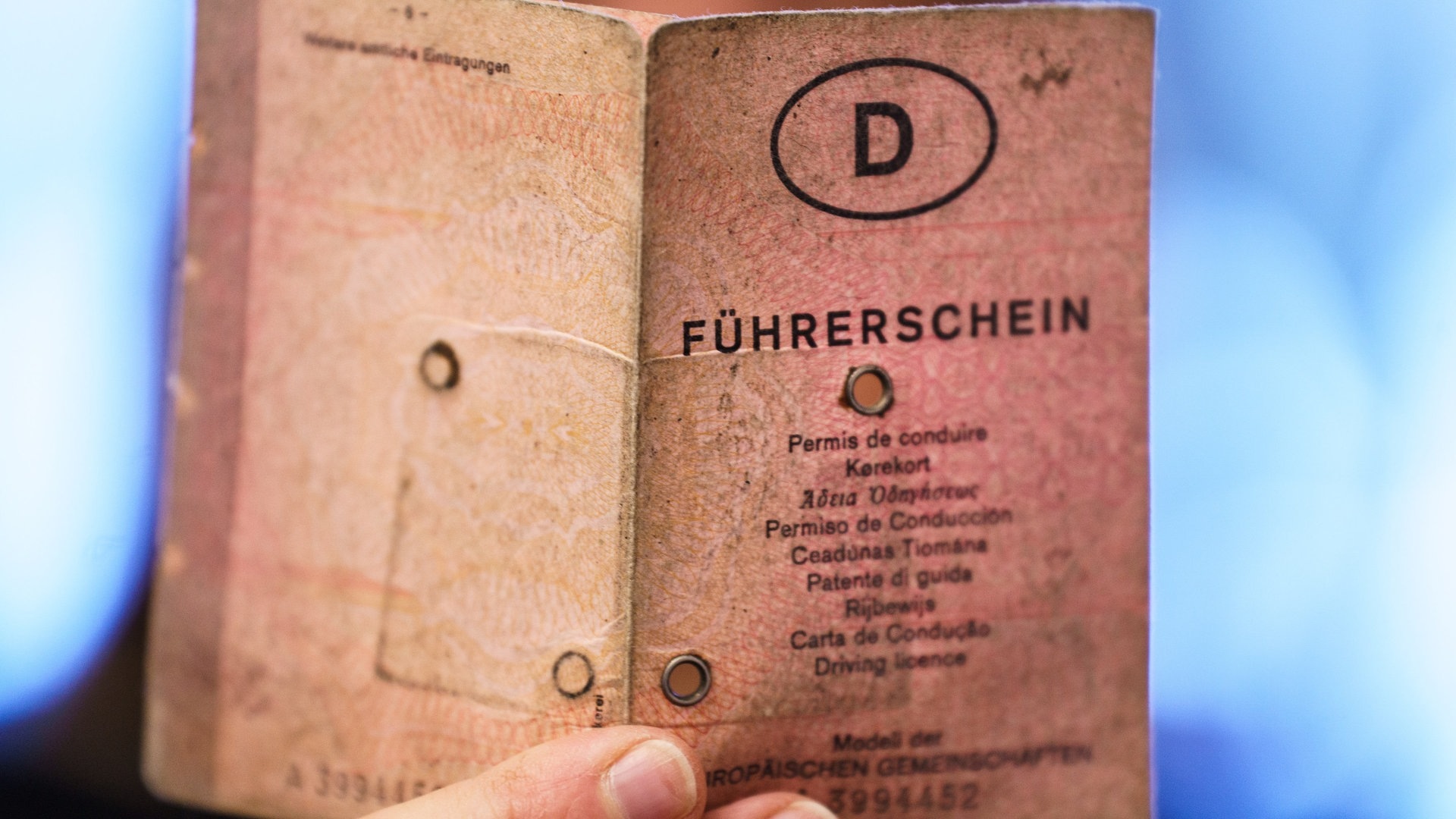 Foto: dpa Bildfunk, picture alliance/dpa | Andreas Arnold Ein «rosa Führerschein» wird hochgehalten. (Foto: dpa Bildfunk, picture alliance/dpa | Andreas Arnold)