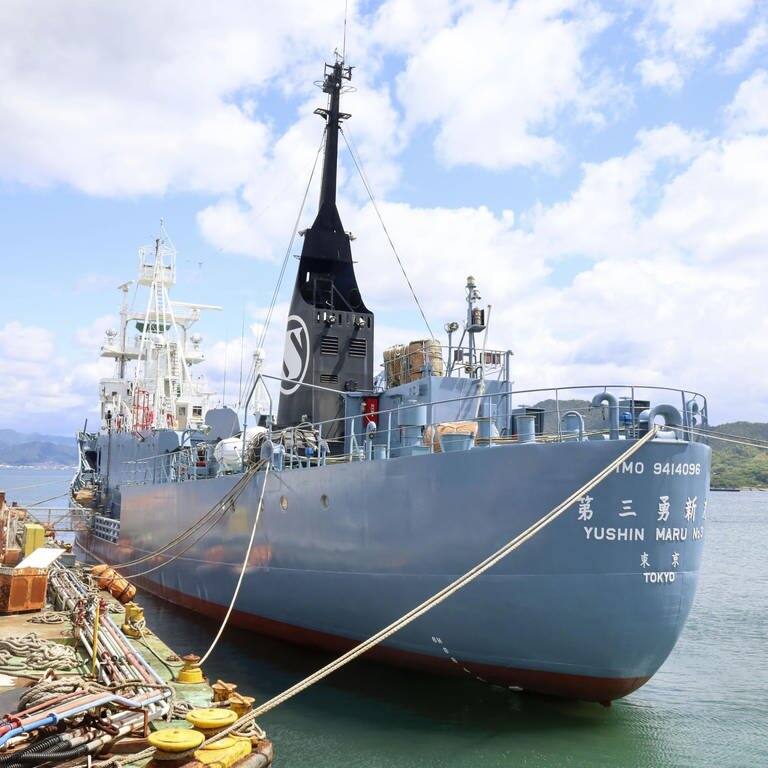 Ein japanisches Walfangschiff (Foto: dpa Bildfunk, Picture Alliance)