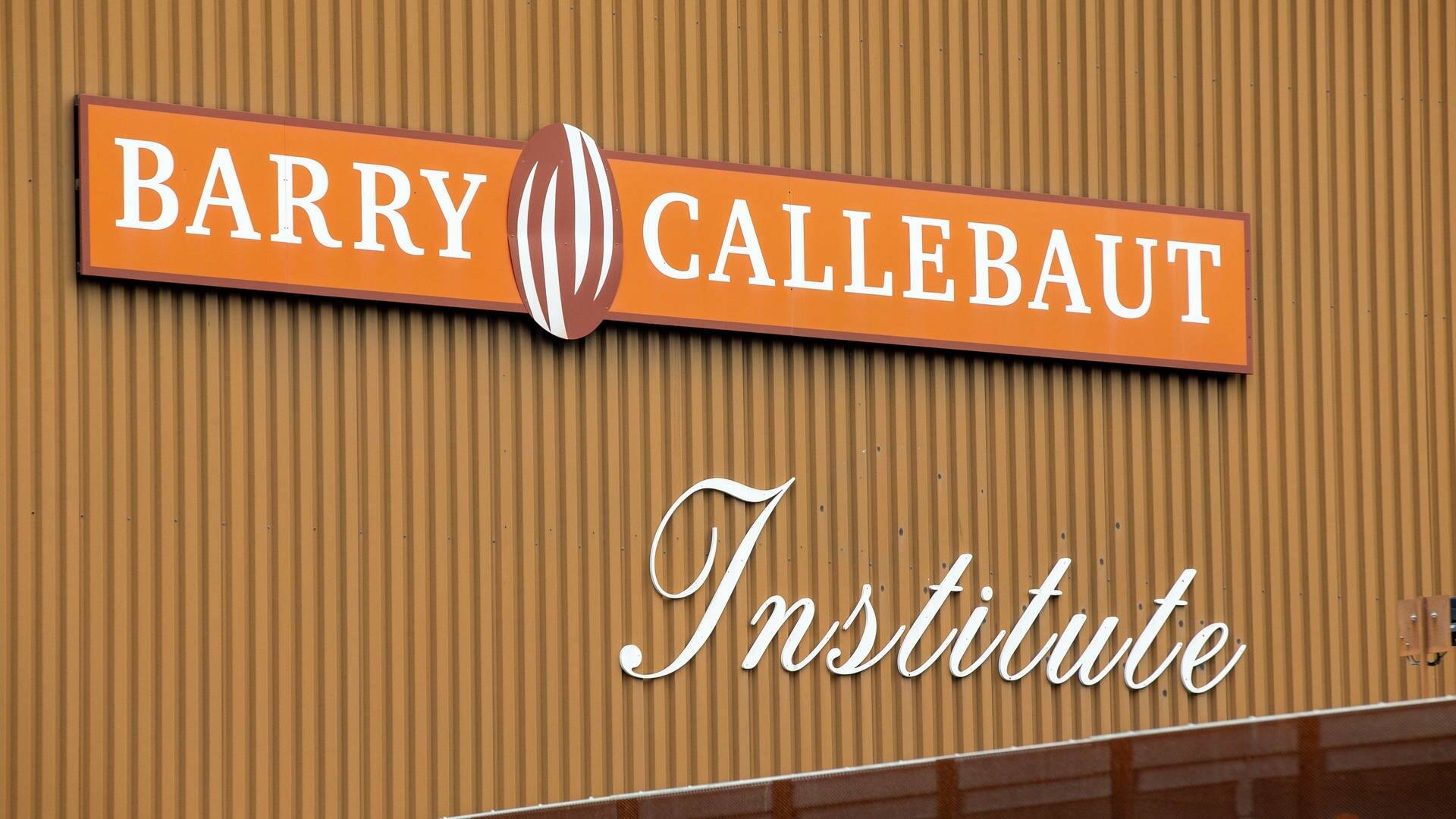 Barry Callebaut (Foto: dpa Bildfunk, picture alliance/dpa/BELGA | Nicolas Maeterlinck)