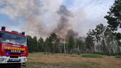Die Feuerwehr im Einsatz bei einem Waldbrand in Brandenburg (Foto: dpa Bildfunk, picture alliance/dpa/dpa-Zentralbild | Julian Stähle)