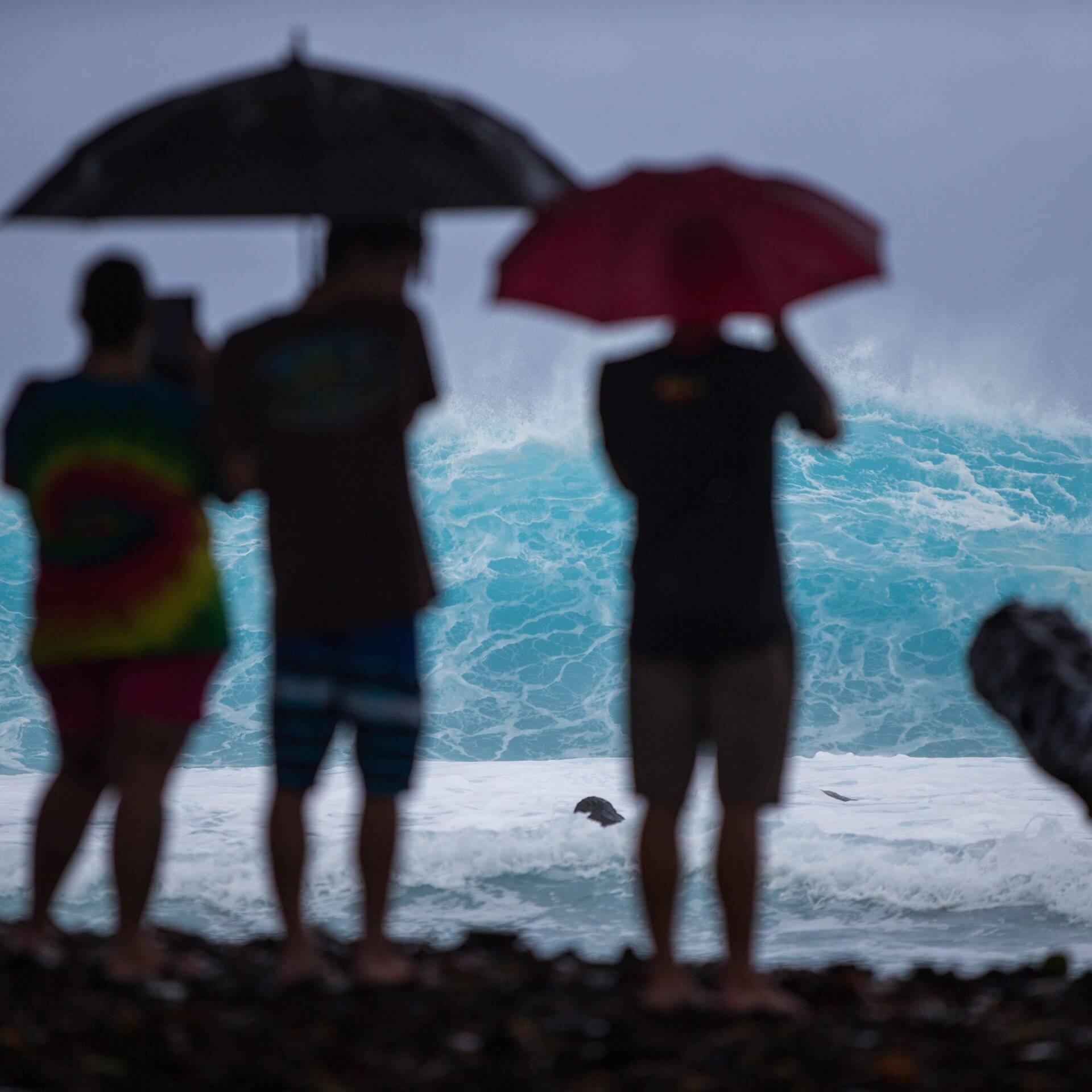 Menschen auf Hawaii betrachten heranrollende Wellen. (Foto: dpa Bildfunk, picture alliance / dpa | Bruce Omori)