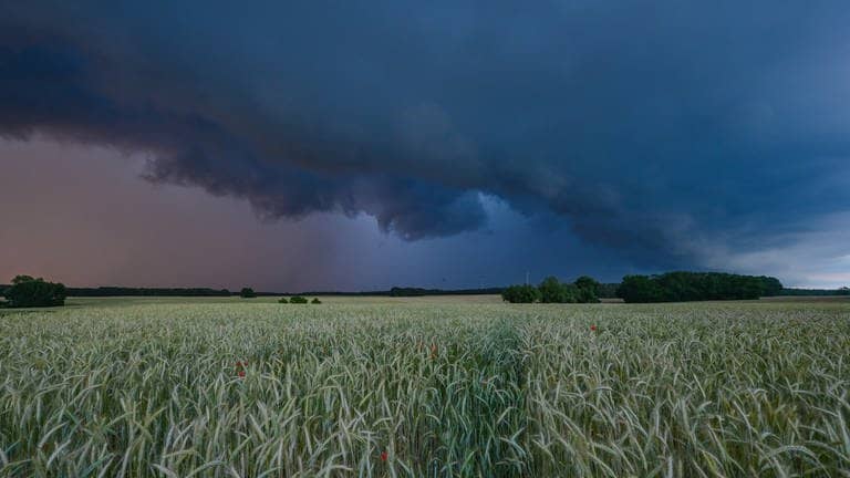 Gewitterwolken über einem Feld in Deutschland. (Foto: dpa Bildfunk, picture alliance/dpa | Patrick Pleul)