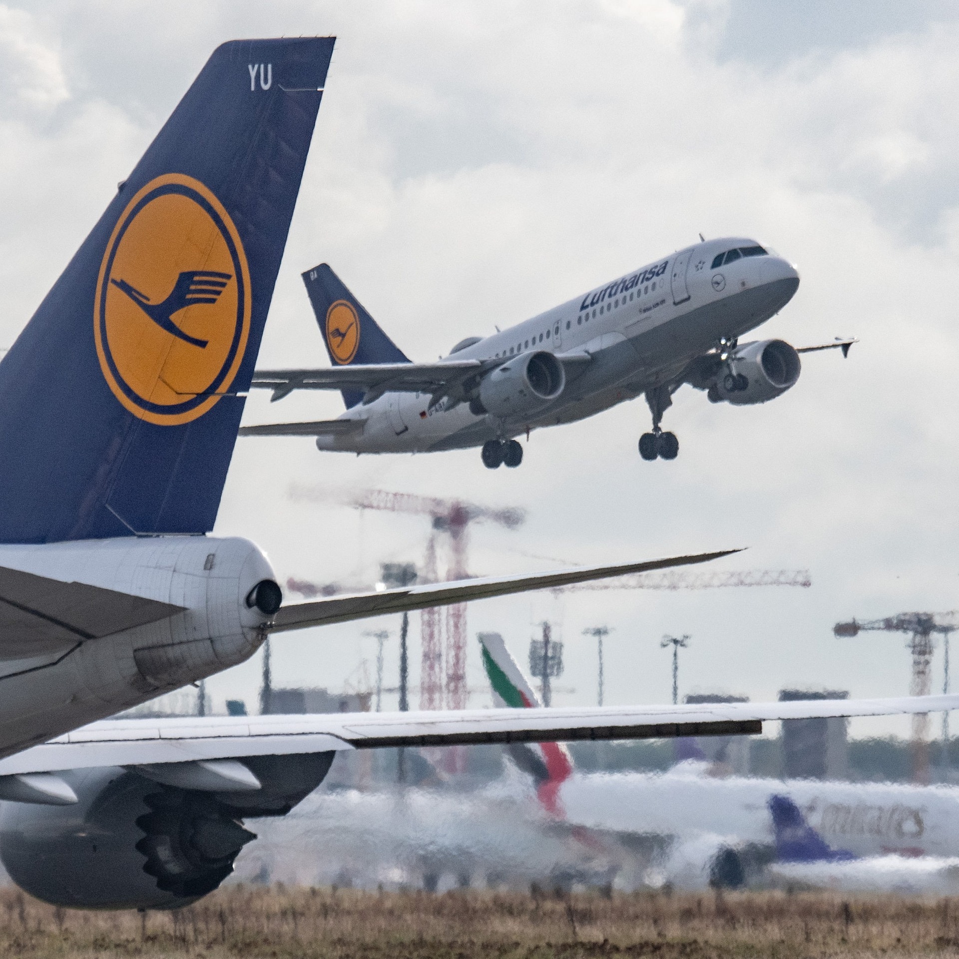 Eine Passagiermaschine der Lufthansa landet auf dem Flughafen Frankfurt. (Foto: dpa Bildfunk, picture alliance/dpa | Boris Roessler)