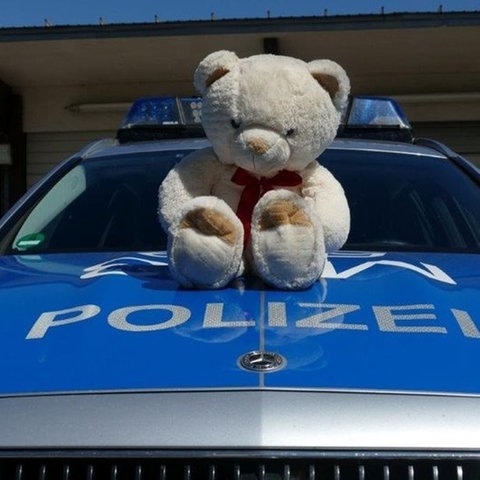 Ein Plüsch-Teddybär sitzt auf der Motorhaube eines Streifenwagens. (Foto: Pressestelle, Polizei Mannheim)