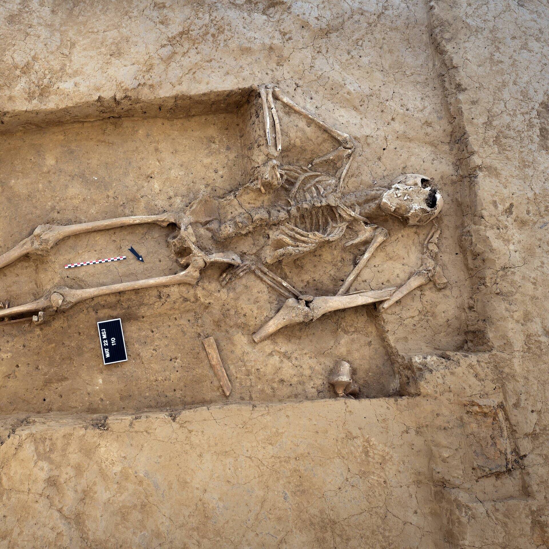 Eines der weningen Skelette, die auf dem Schlachtfeld von Waterloo heute noch zu finden sind. Der Rest ist wohl in Zuckerfabriken gelandet. (Foto: IMAGO, IMAGO / Cover-Images)