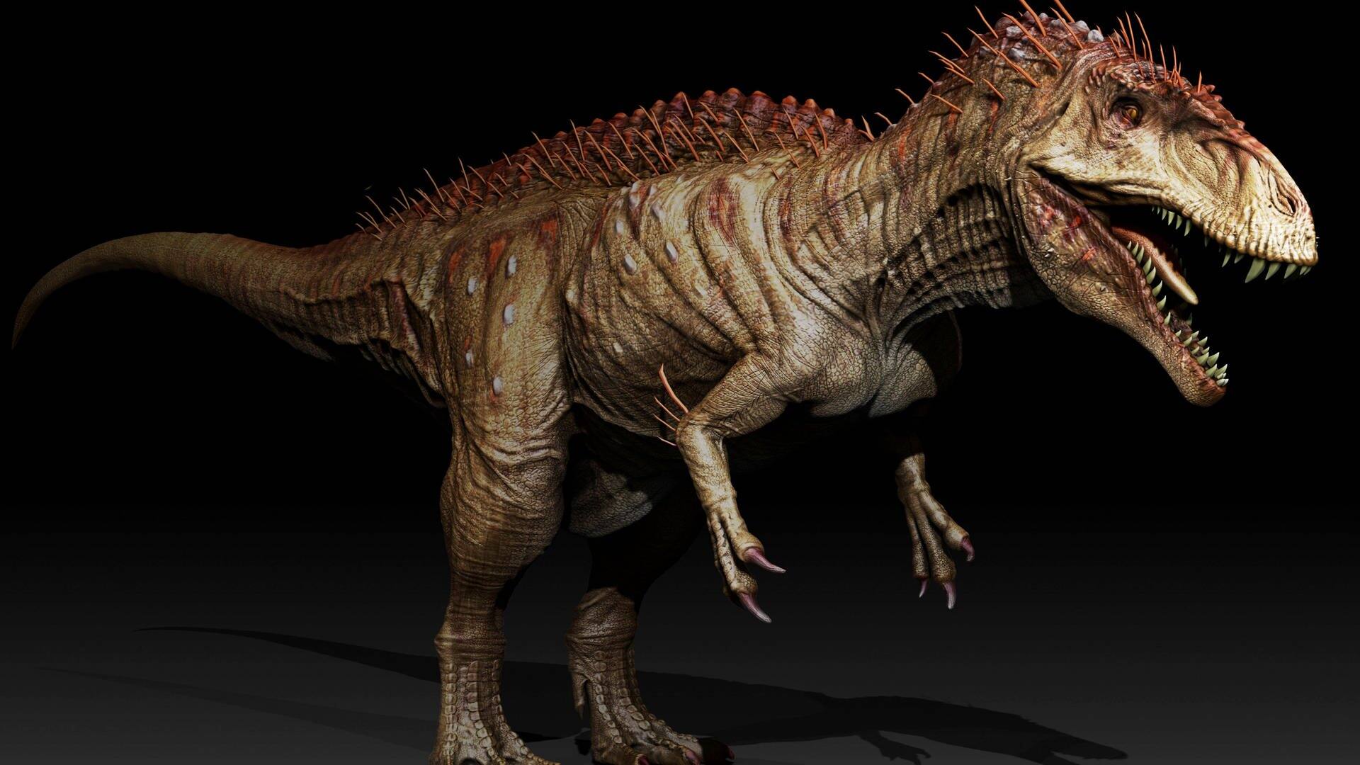 Acrocanthosaurus Dinosaurier von der Seite, ein großes Modell   (Foto: IMAGO, IMAGO / StockTrek Images)