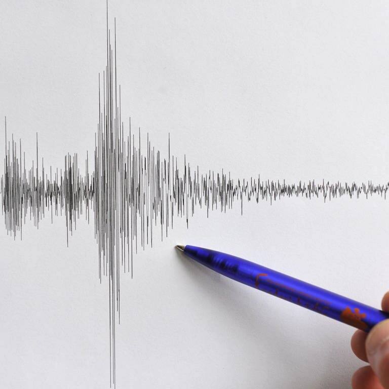 Das Seismogramm eines Erdbebens ist zu sehen, mit einem Kugelschreiber wird darauf gezeigt. (Foto: dpa Bildfunk, picture-alliance/ dpa | Rolf Haid)