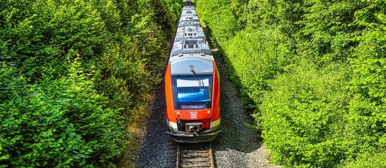 Zug der Deutschen Bahn fährt durch ein Waldstück (Foto: picture alliance/Bildagentur-online)
