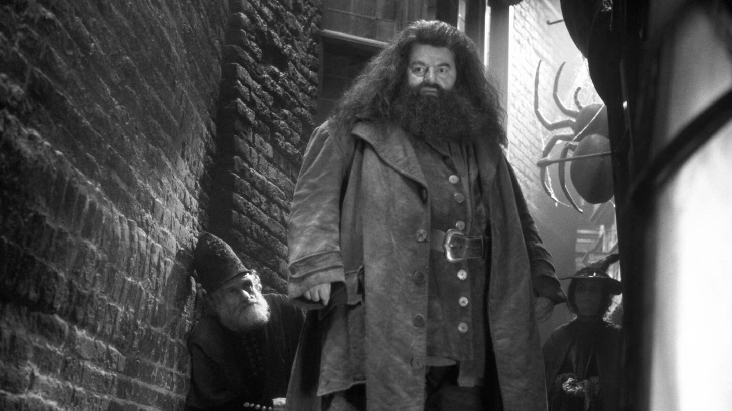Hagrid-Darsteller Robbie Coltrane aus Harry-Potter gestorben (Foto: IMAGO, IMAGO / Cinema Publishers Collection)