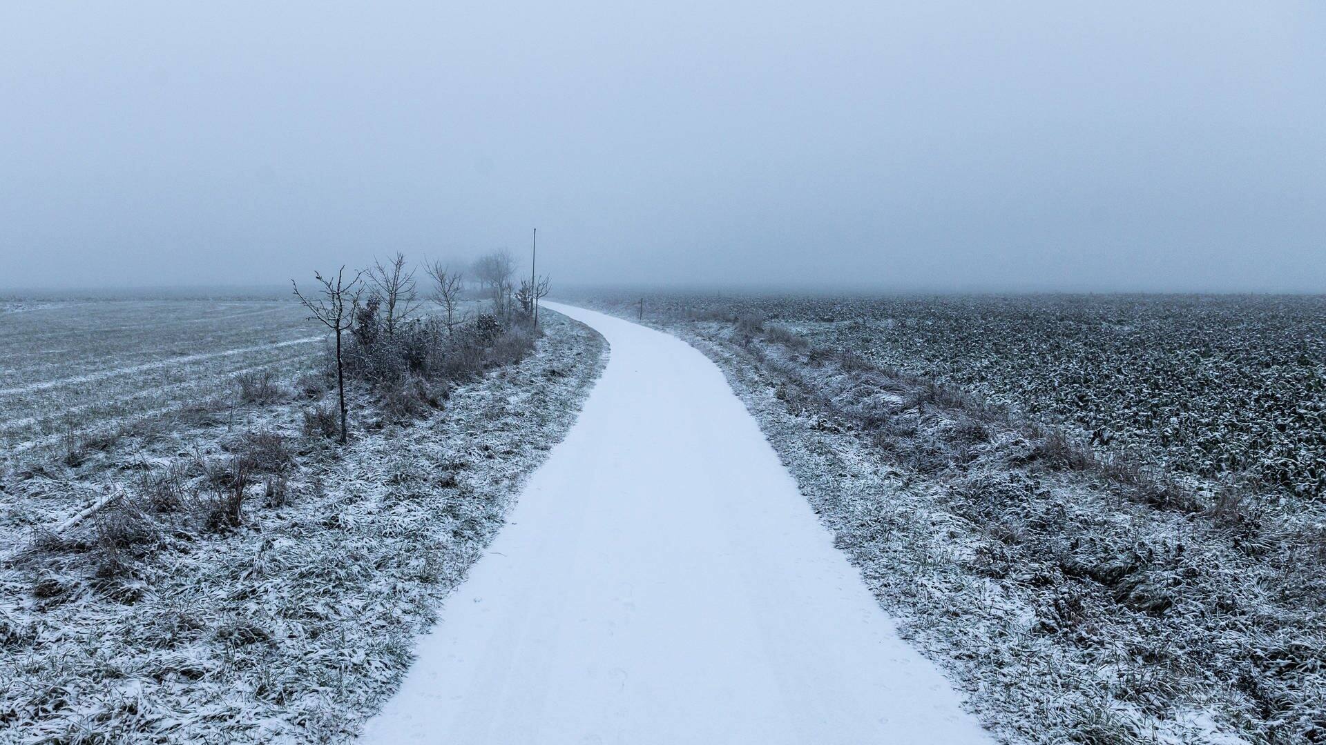 Kalt, dunkel – und sehr magisch: Schnee auf einem Feldweg bei Rottweil. (Foto: dpa Bildfunk, picture alliance/dpa | Silas Stein)