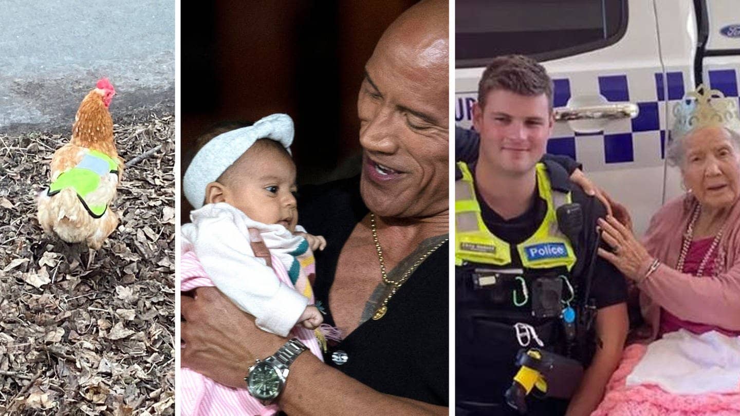 Huhn mit Warnweste, The Rock mit Baby, Oma mit Polizisten (Foto: picture alliance/dpa/Polizei Rheinland-Pfalz,IMAGO / ZUMA Press,  Instagram-Kanal Victoriapolice)