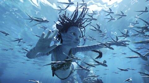 Szenenbild aus dem Film Avatar 2: Unterwasseraufnahme. Figur schwimmt mit einem Schwarm Fische. (Foto: Disney)
