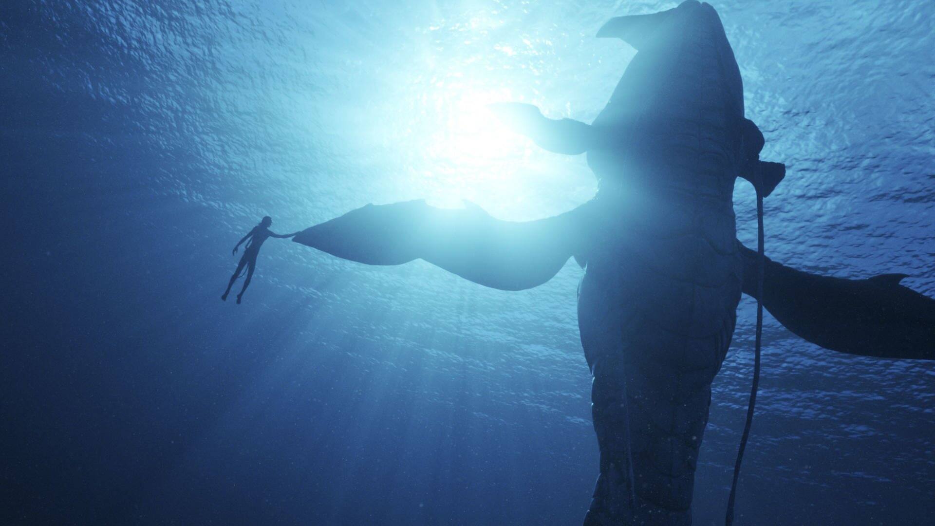 Szenenbild aus dem Film Avatar: Unterwasseraufnahme eines Tauchers und eines Wals. (Foto: Disney)