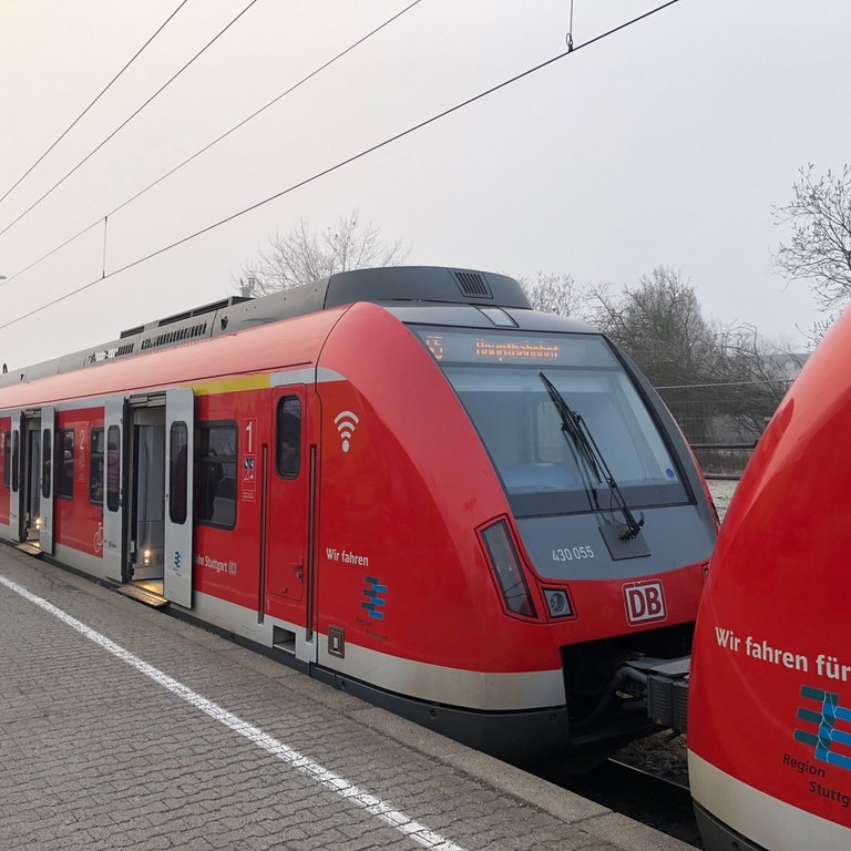 S-Bahn Stuttgart: Baureihe 430 (Foto: SWR, Philipp Pfäfflin)