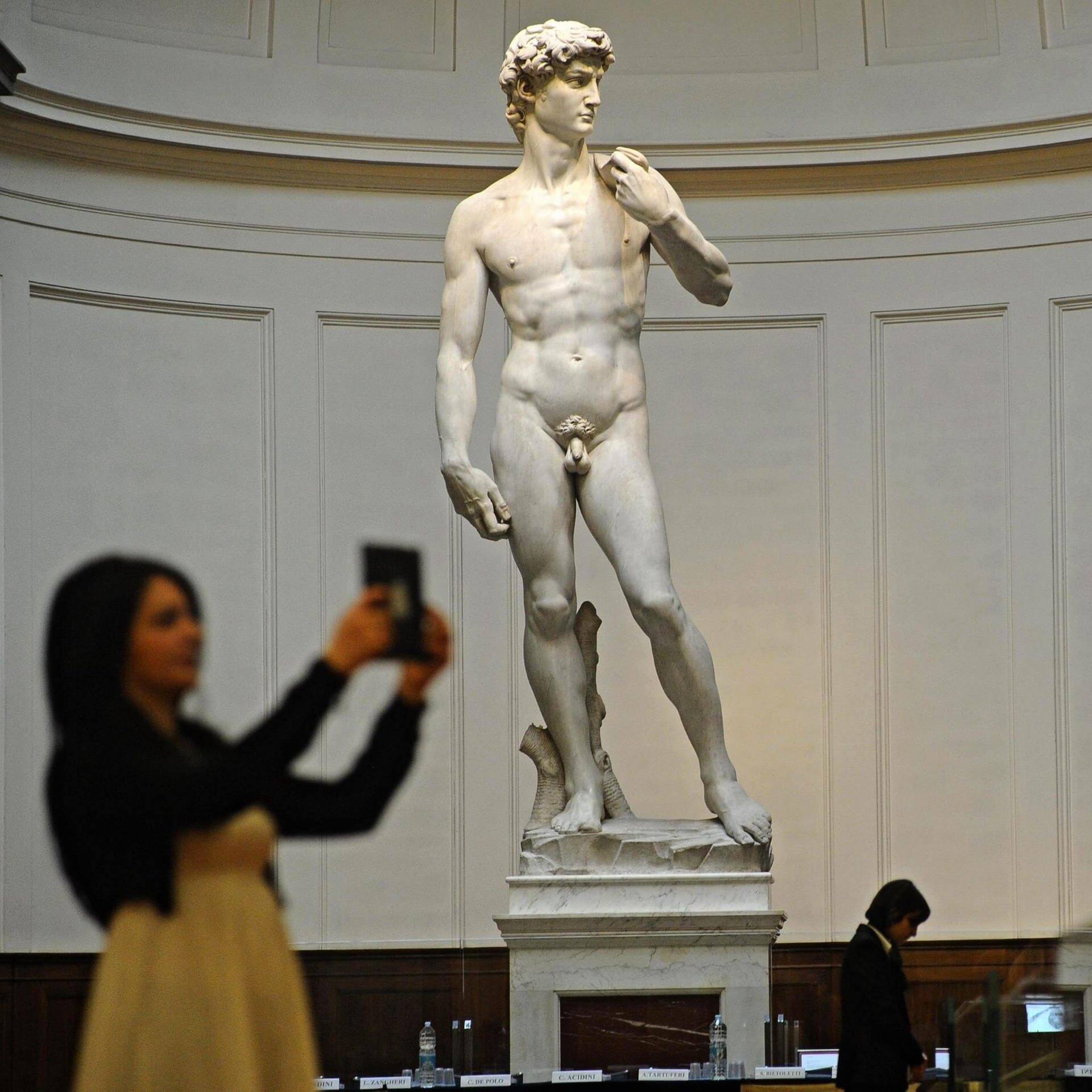 Die David-Statue von Michelangelo; im Vordergrund macht eine Museumsbesucherin in Selfie (Foto: dpa Bildfunk, picture alliance / dpa | Maurizio Degl' Innocenti)